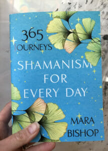 Shamanism for Every Day: 365 Journeys book