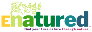 Enatured logo multicolored text with green branch